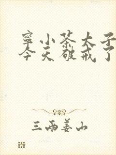 宁小茶太子殿下今天破戒了吗免费阅读