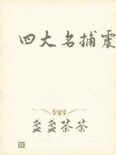 四大名捕震关东