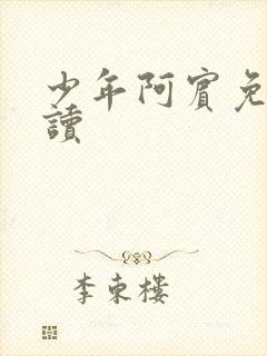少年阿宾免费阅读
