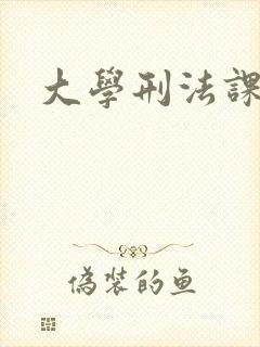 大学刑法课