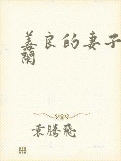 善良的妻子王晓兰