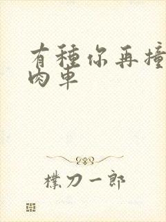 有种你再撞一下肉车