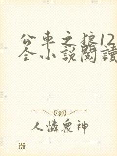 公车之狼12集全小说阅读