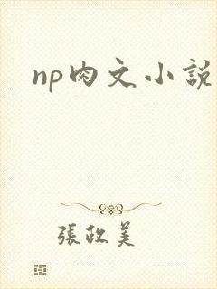 np肉文小说