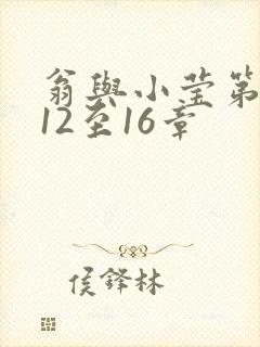 翁与小莹第十部12至16章