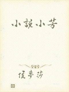 小说小芳