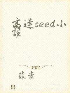 高达seed小说