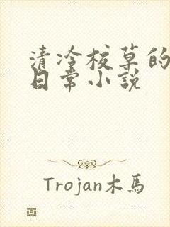 清冷校草的堕落日常小说