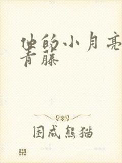 他的小月亮by青藤