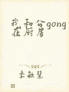 我和公gong在厨房