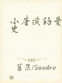 小唐璜的爱情历史