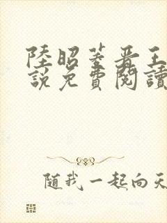 陆昭菱晋王的小说免费阅读