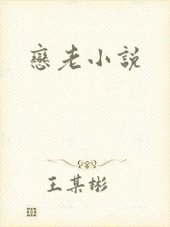 恋老小说