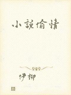 小说偷情