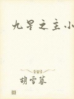 九星之主小说