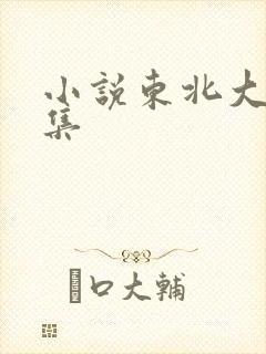 小说东北大炕全集