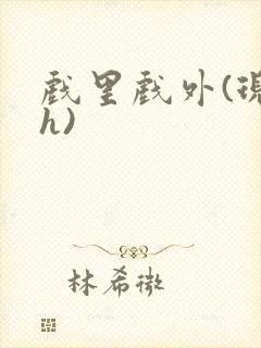 戏里戏外(现场h)