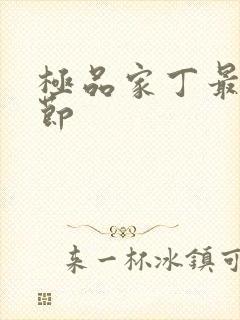 极品家丁最新章节