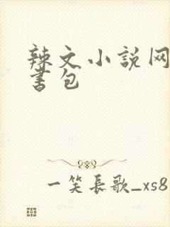 辣文小说网第二书包