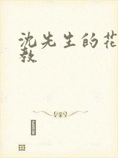 沈先生的花式管教