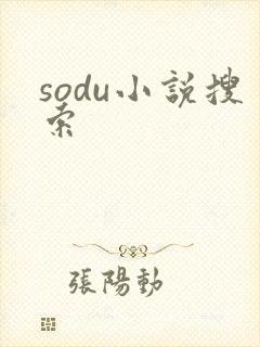 sodu小说搜索