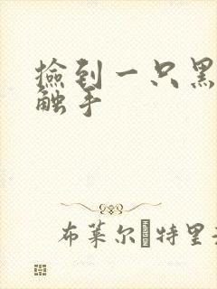 捡到一只黑心小触手