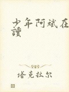 少年阿斌在线阅读