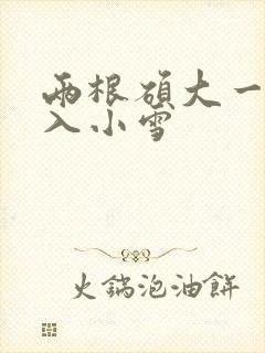 两根硕大一起挤入小雪