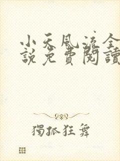 小天风流全集小说免费阅读