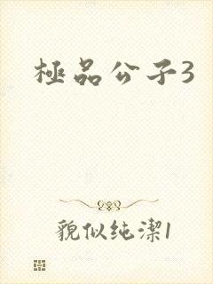 极品公子3