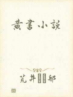 黄书小说