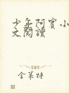 少年阿宾小说全文阅读