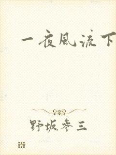 一夜风流下载