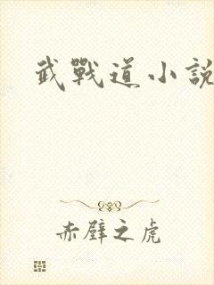武战道小说