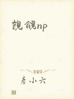 觊觎np