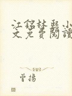 江铭林熙小说全文免费阅读