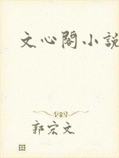 文心阁小说