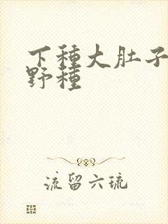 下种大肚子怀孕野种