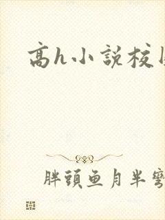 高h小说校园
