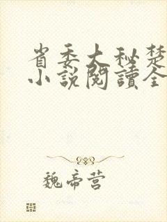 省委大秘楚东恒小说阅读全文