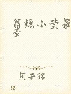 翁熄小莹最新节章