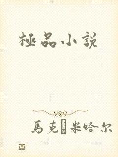 极品小说