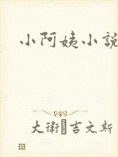 小阿姨小说