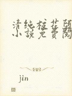 清纯校花堕落记小说免费阅读