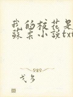 我的校花是福姬苏柔小说txt