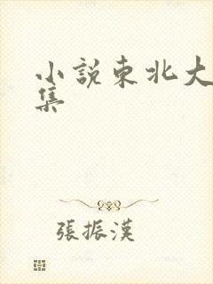 小说东北大炕全集