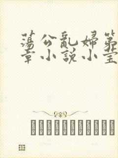 荡公乱妇第51章小说小莹