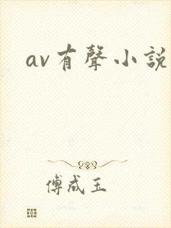 av有声小说