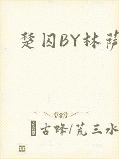 楚囚BY林萨