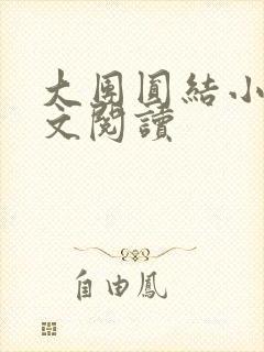 大团圆结小茹全文阅读